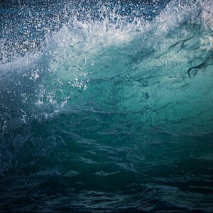 骚逼女人操屄视频
