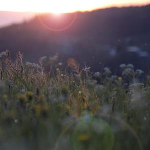 骚逼女人操屄视频
