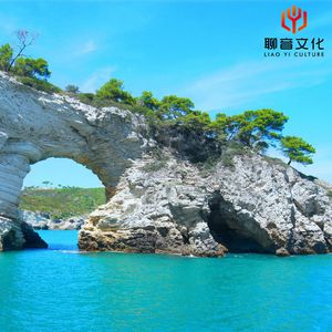 骚逼女人操屄视频
